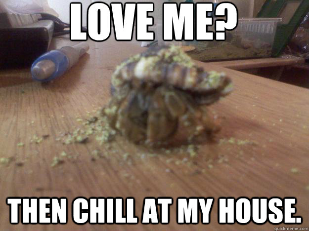 Love me? Then chill at my house.    Hermit Crab