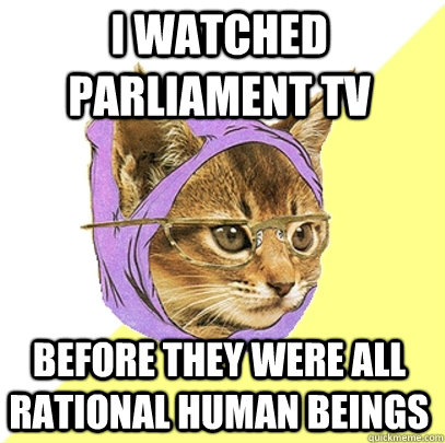 I watched Parliament TV before they were all rational human beings  Hipster Kitty