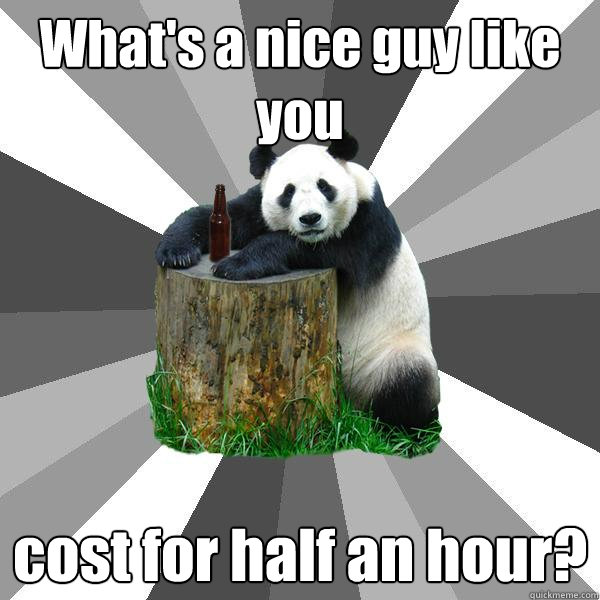 What's a nice guy like you cost for half an hour?  Pickup-Line Panda