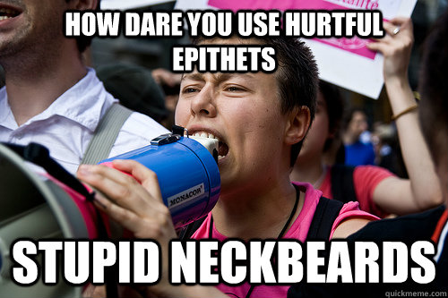 How dare you use hurtful epithets Stupid neckbeards  