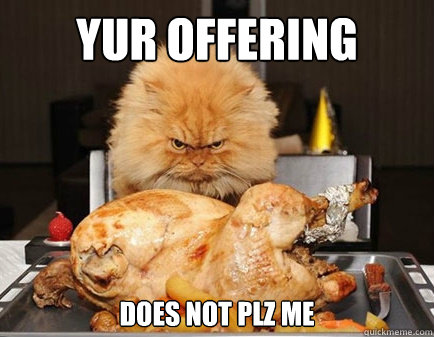 yur offering  does not plz me - yur offering  does not plz me  high maintenance cat