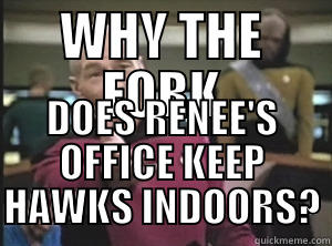 WHY THE FORK DOES RENEE'S OFFICE KEEP HAWKS INDOORS? Annoyed Picard