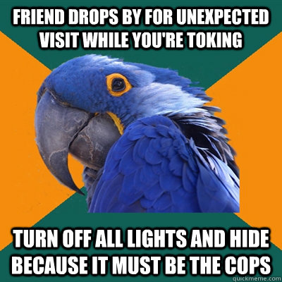 Friend Drops by for unexpected visit while you're toking turn off all lights and hide because it must be the cops - Friend Drops by for unexpected visit while you're toking turn off all lights and hide because it must be the cops  Paranoid Parrot