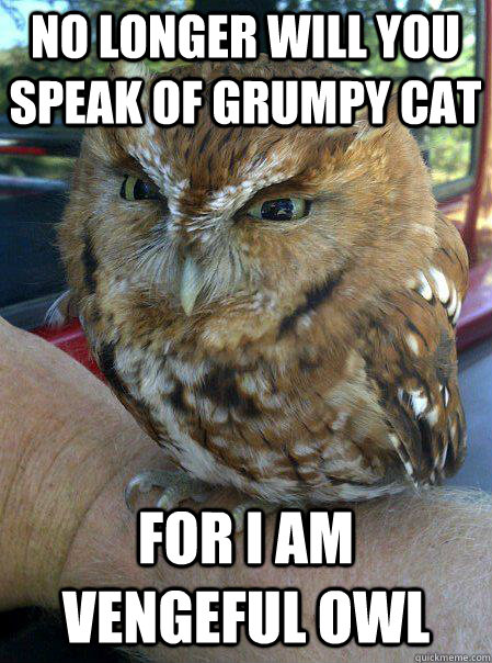 No longer will you speak of grumpy cat For I am Vengeful Owl - No longer will you speak of grumpy cat For I am Vengeful Owl  Vengeful Owl