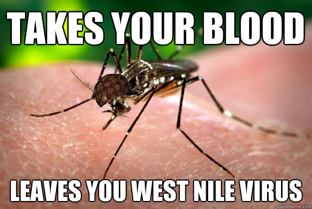 Takes your blood leaves you West Nile Virus  