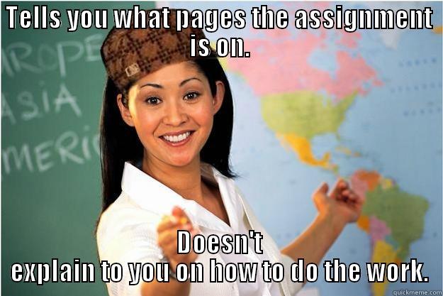 TELLS YOU WHAT PAGES THE ASSIGNMENT IS ON. DOESN'T EXPLAIN TO YOU ON HOW TO DO THE WORK. Scumbag Teacher