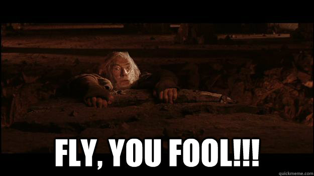  fly, you fool!!!  Gandalf