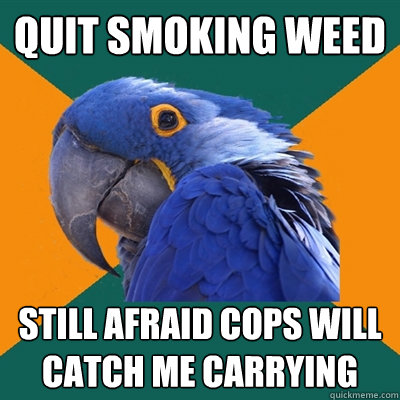 quit smoking weed still afraid cops will catch me carrying  Paranoid Parrot