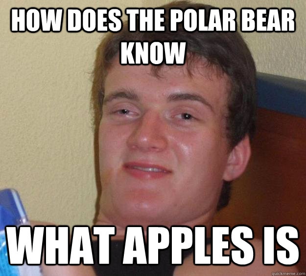 How does the polar bear know what apples is  10 Guy