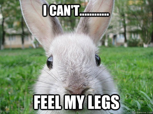 I can't............ feel my legs  Rabbit webcam