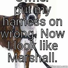  OWNER PUT MY HARNESS ON WRONG. NOW I LOOK LIKE MARSHALL. Misc
