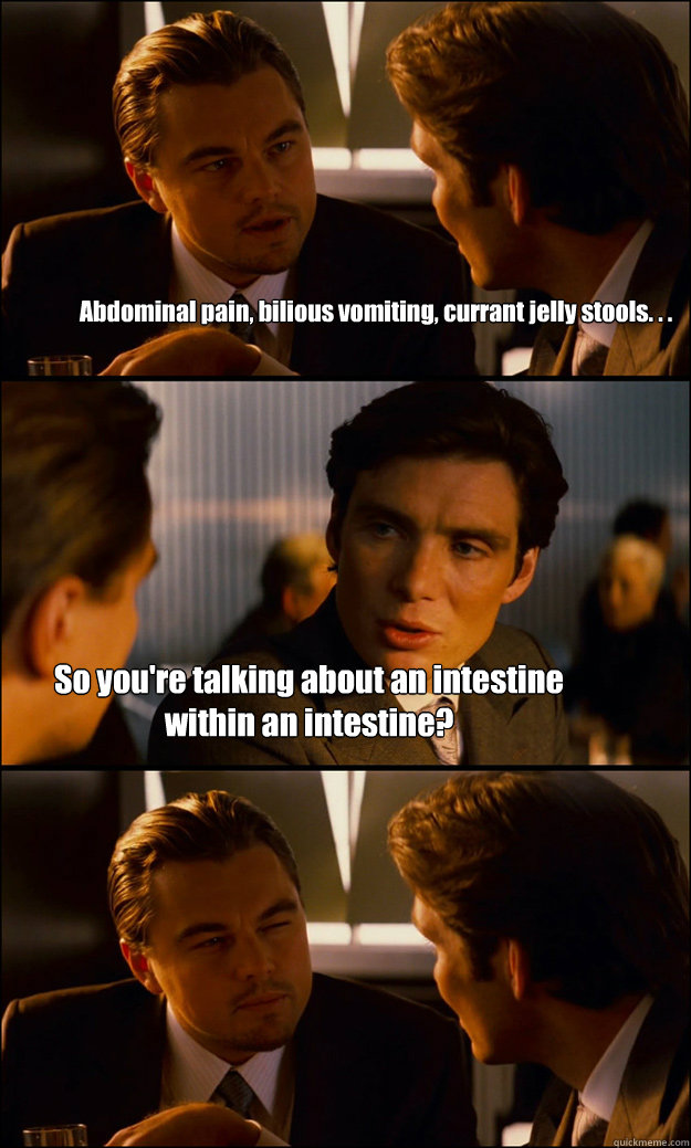 Abdominal pain, bilious vomiting, currant jelly stools. . . So you're talking about an intestine within an intestine?  Inception