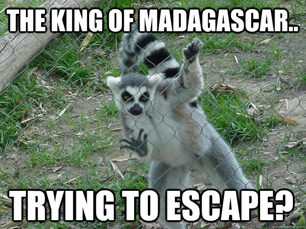 The king of Madagascar..  trying to escape?  Libertarian Lemur