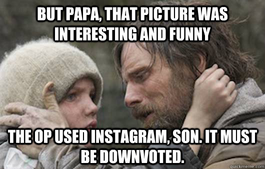 But papa, that picture was interesting and funny The op used instagram, son. It must be downvoted.  Viggo Explains Reddit