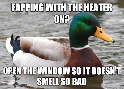 FAPPING WITH THE HEATER ON? OPEN THE WINDOW SO IT DOESN'T SMELL SO BAD  Actual Advice Mallard