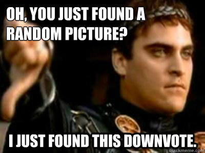 Oh, you just found a random picture? I just found this downvote.   Downvoting Roman