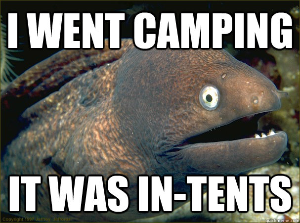 I went camping it was in-tents  Bad Joke Eel