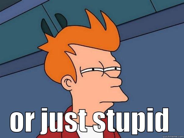  OR JUST STUPID Futurama Fry