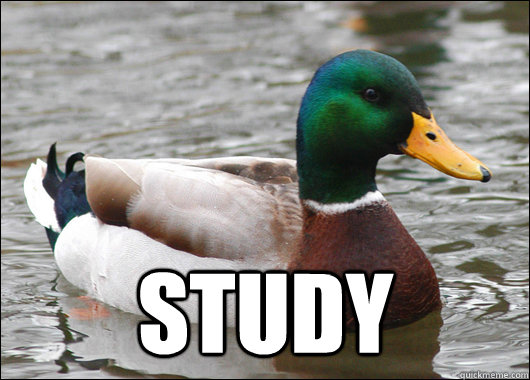  Study  Actual Advice Mallard