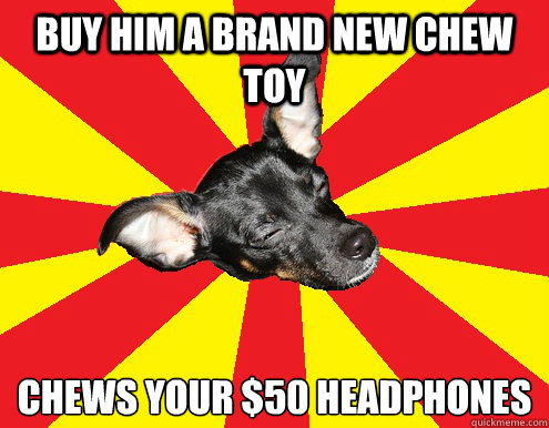 buy him a brand new chew toy chews your $50 headphones
 - buy him a brand new chew toy chews your $50 headphones
  Texy Tex innocent dog meme