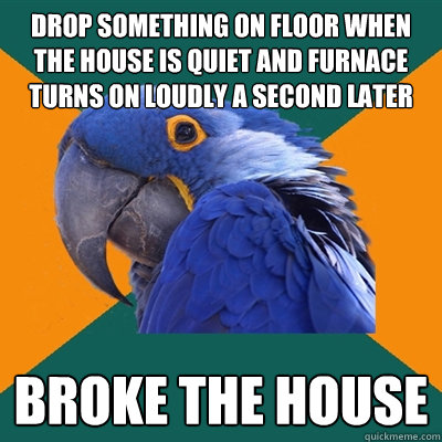Drop something on floor when the house is quiet and furnace turns on loudly a second later broke the house  Paranoid Parrot