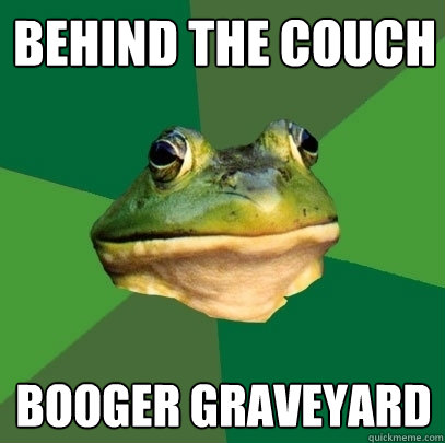 Behind the couch booger graveyard  Foul Bachelor Frog