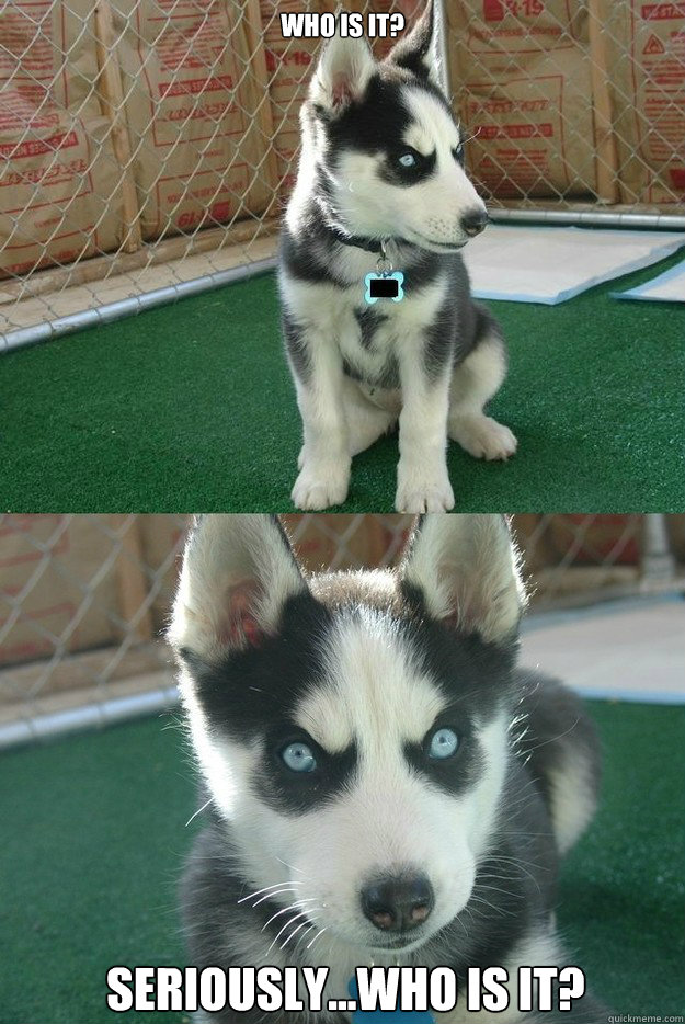 who is it? seriously...who is it?  Insanity puppy