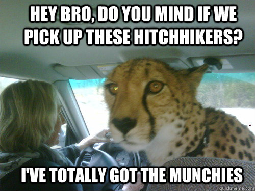 hey bro, do you mind if we pick up these hitchhikers? i've totally got the munchies  Chill Cheetah