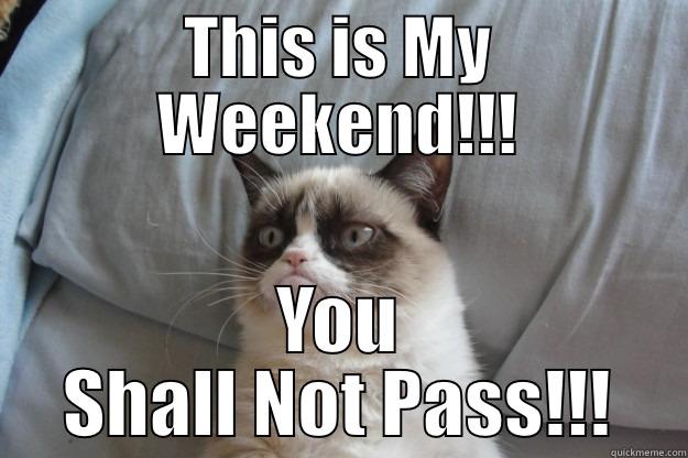 THIS IS MY WEEKEND!!! YOU SHALL NOT PASS!!! Grumpy Cat