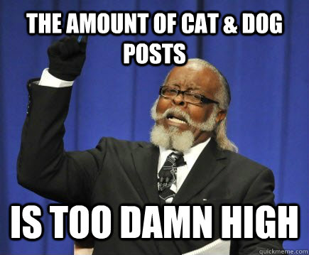the amount of cat & Dog posts is too damn high  Too Damn High