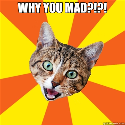 WHY YOU MAD?!?!  - WHY YOU MAD?!?!   Bad Advice Cat