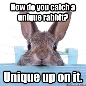 How do you catch a unique rabbit? Unique up on it. - How do you catch a unique rabbit? Unique up on it.  Rabbit Joke