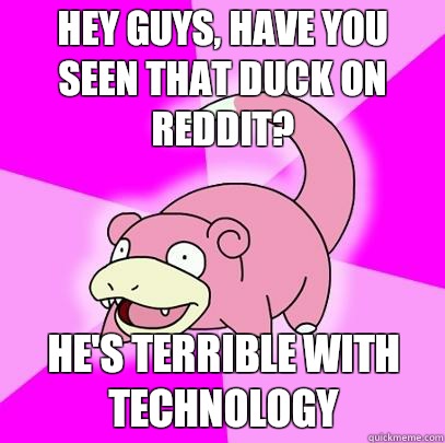 Hey guys, have you seen that duck on reddit? He's terrible with technology  Slowpoke