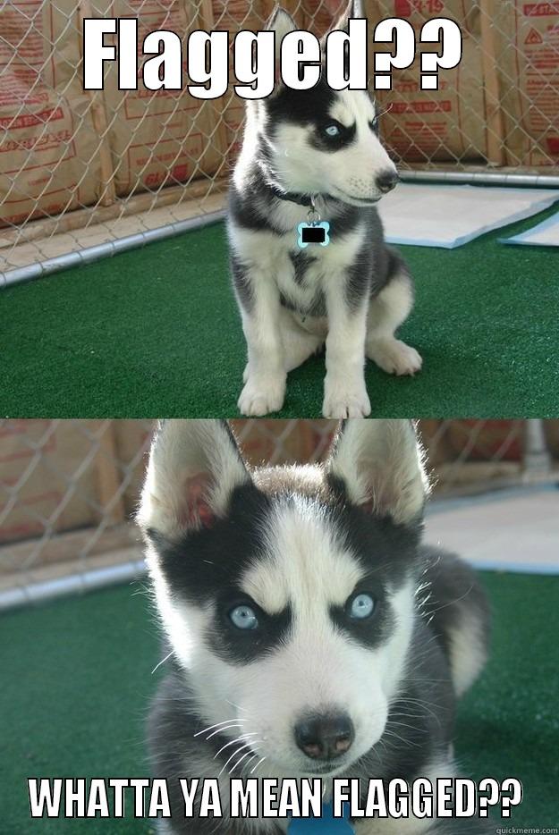 FLAGGED?? WHATTA YA MEAN FLAGGED?? Insanity puppy