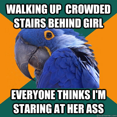 Walking up  crowded stairs behind girl Everyone thinks I'm staring at her ass - Walking up  crowded stairs behind girl Everyone thinks I'm staring at her ass  Paranoid Parrot