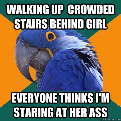 Walking up  crowded stairs behind girl Everyone thinks I'm staring at her ass  Paranoid Parrot