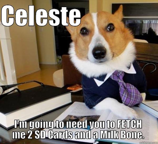 CELESTE                  I'M GOING TO NEED YOU TO FETCH ME 2 SD CARDS AND A MILK BONE. Lawyer Dog