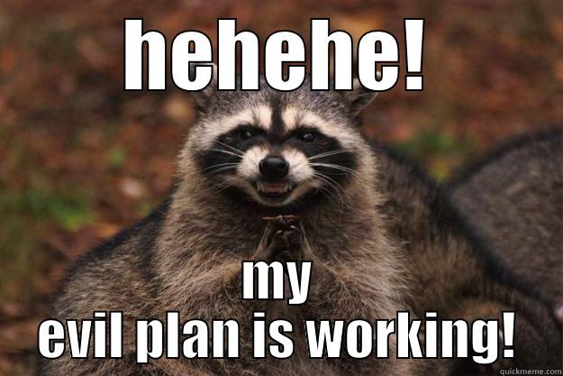evil plan - HEHEHE! MY EVIL PLAN IS WORKING! Evil Plotting Raccoon