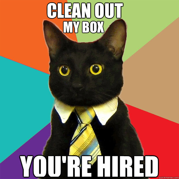 clean out my box
 you're hired  Business Cat