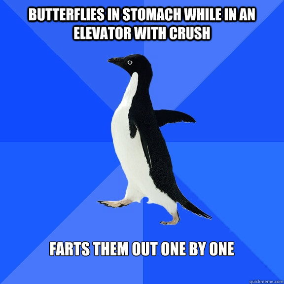 Butterflies in stomach while In an elevator with crush  Farts them out ONE bY ONE   Socially Awkward Penguin