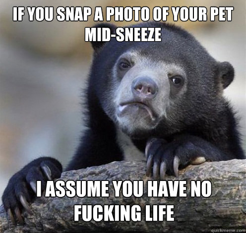 IF YOU SNAP A PHOTO OF YOUR PET MID-SNEEZE I ASSUME YOU HAVE NO FUCKING LIFE  Confession Bear Eating