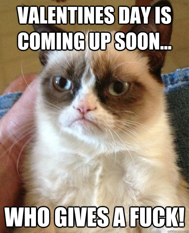 Valentines day is coming up soon... Who gives a fuck! - Valentines day is coming up soon... Who gives a fuck!  Misc