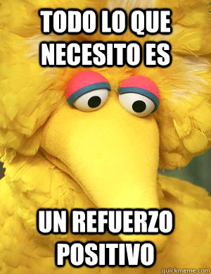 todo lo que necesito es un refuerzo positivo - todo lo que necesito es un refuerzo positivo  BigBird1