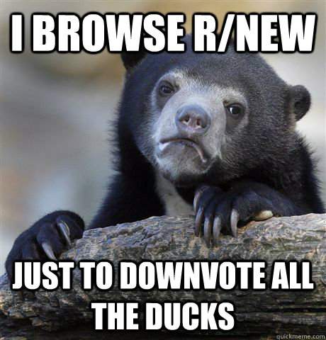 I browse r/new  just to downvote all the ducks  Confession Bear