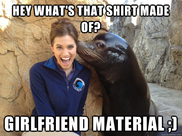 Hey what's that shirt made of? Girlfriend material ;)   Crazy Secret