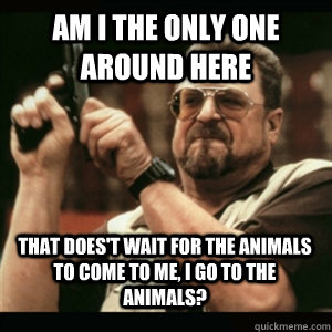 Am i the only one around here That does't wait for the animals to come to me, I go to the animals? - Am i the only one around here That does't wait for the animals to come to me, I go to the animals?  Misc