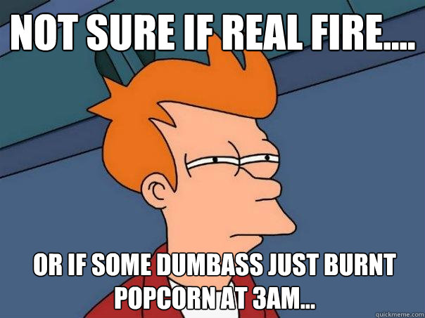 Not sure if real fire.... Or if some dumbass just burnt popcorn at 3am... - Not sure if real fire.... Or if some dumbass just burnt popcorn at 3am...  Futurama Fry