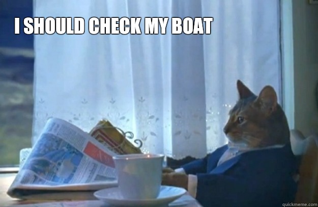 i should check my boat  Sophisticated Cat