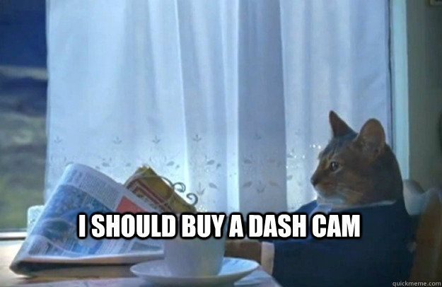 I should buy a dash cam  Sophisticated Cat
