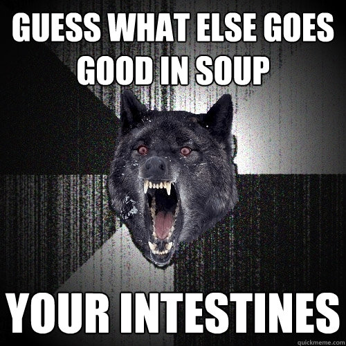 gUESS WHAT ELSE GOES GOOD IN SOUP YOUR INTESTINES  Insanity Wolf